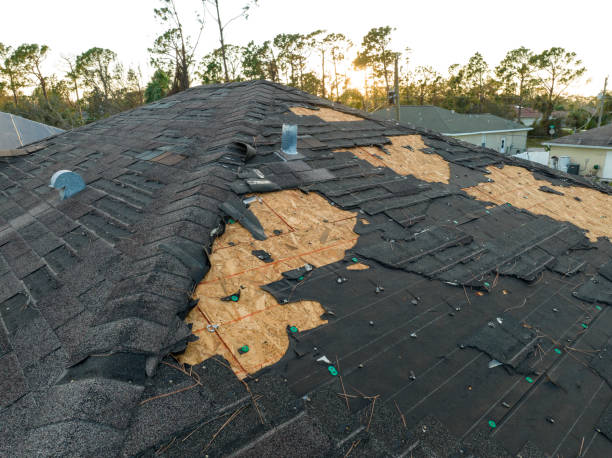 Best Roof Coating and Sealing  in Bishop, CA