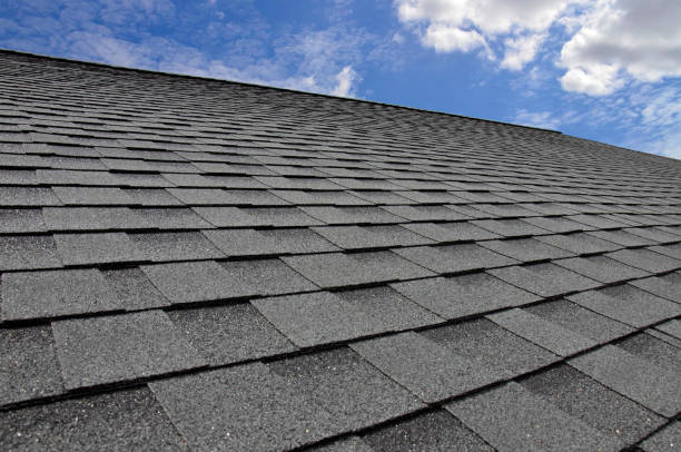 Best Skylight Installation and Repair  in Bishop, CA