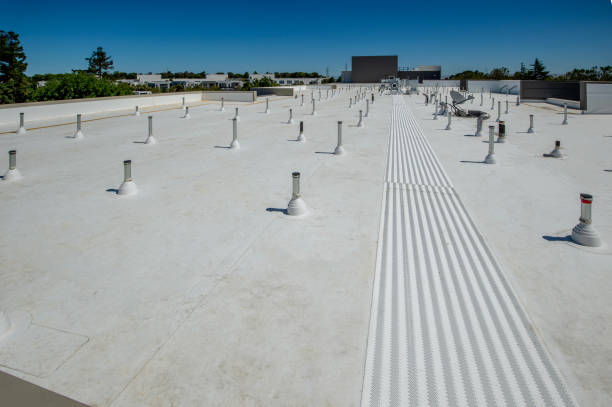 Best Roof Installation  in Bishop, CA